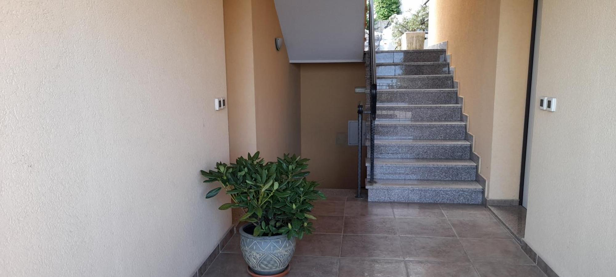 Apartment No. 1